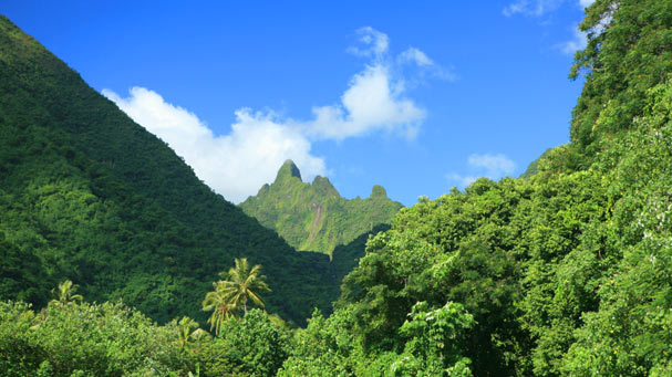 Tahiti Photos