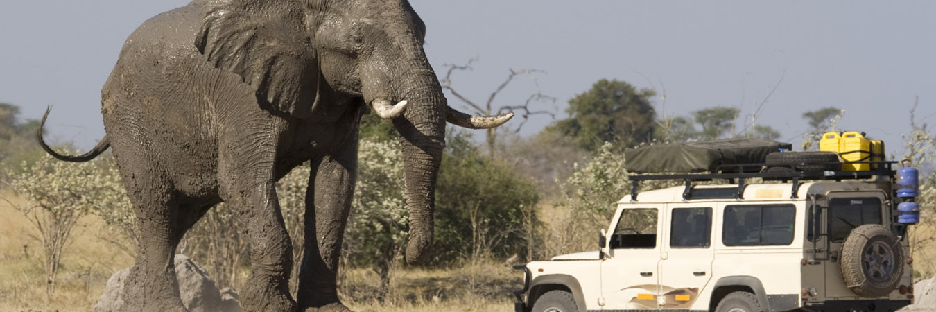 africa-safari