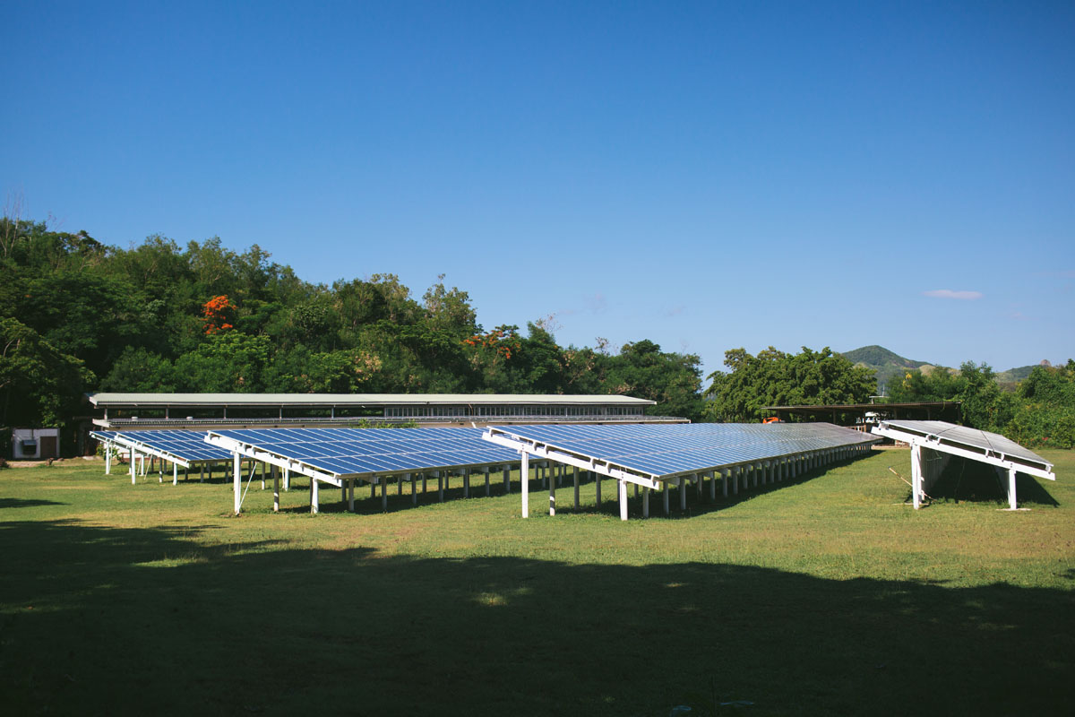 Turtle Island solar farm