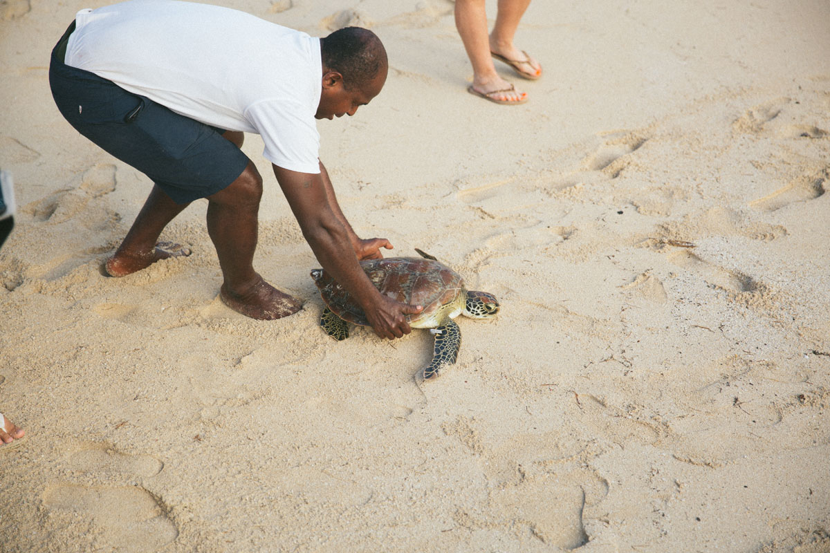 Turtle Island conservation