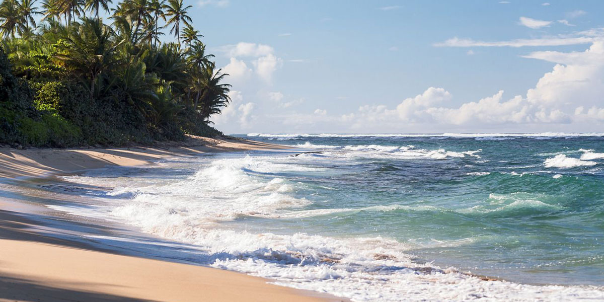 Playa Sardinera Puerto Rico