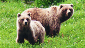 Alaska Wildland Adventures In Tour - Lodge & Ranch Deals