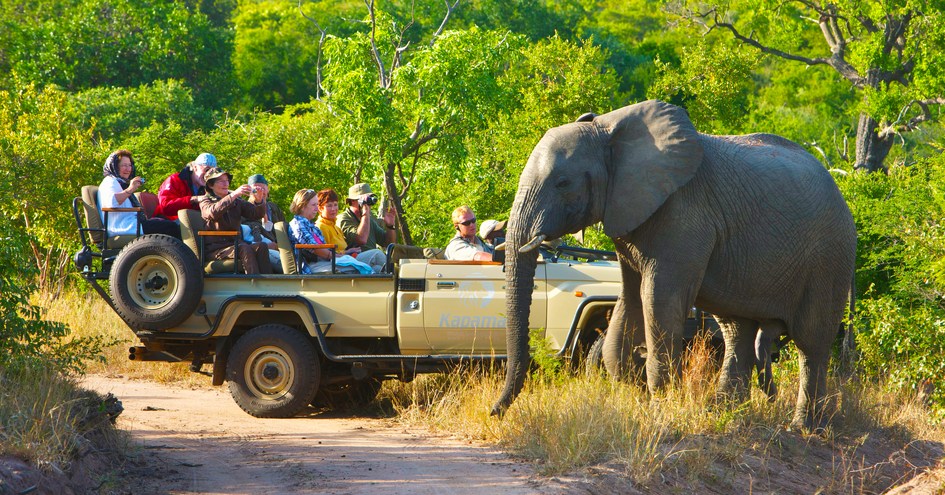 Kapama Private Game Reserve in Kapama Game Reserve, South Africa ...