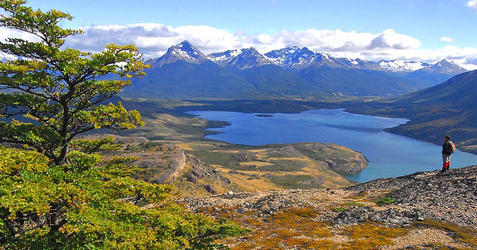 Remota in Patagonia, Chile