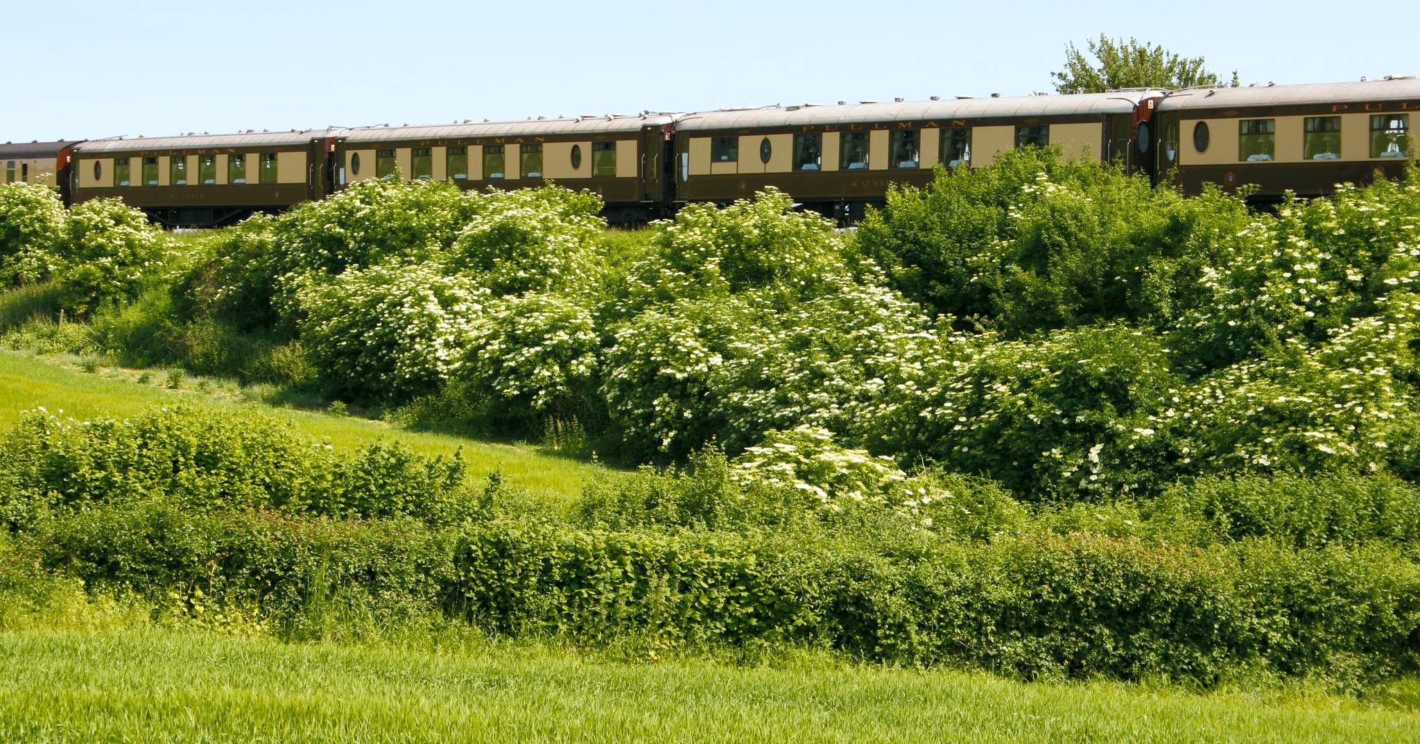 I Rode the Belmond British Pullman Through English Countryside