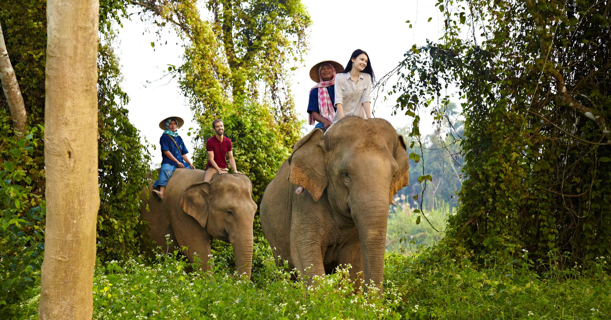 Anantara Golden Triangle Elephant Camp & Resort in Chiang Rai, Thailand