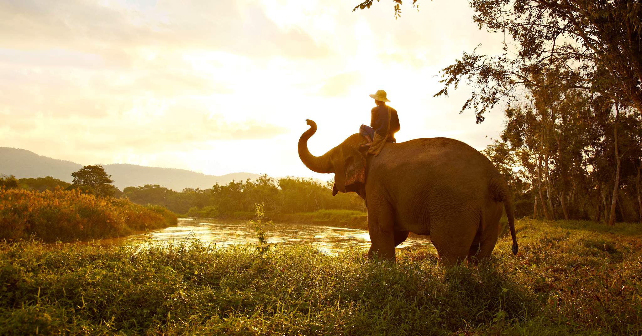 Anantara Golden Triangle Elephant Camp & Resort in Chiang Rai, Thailand