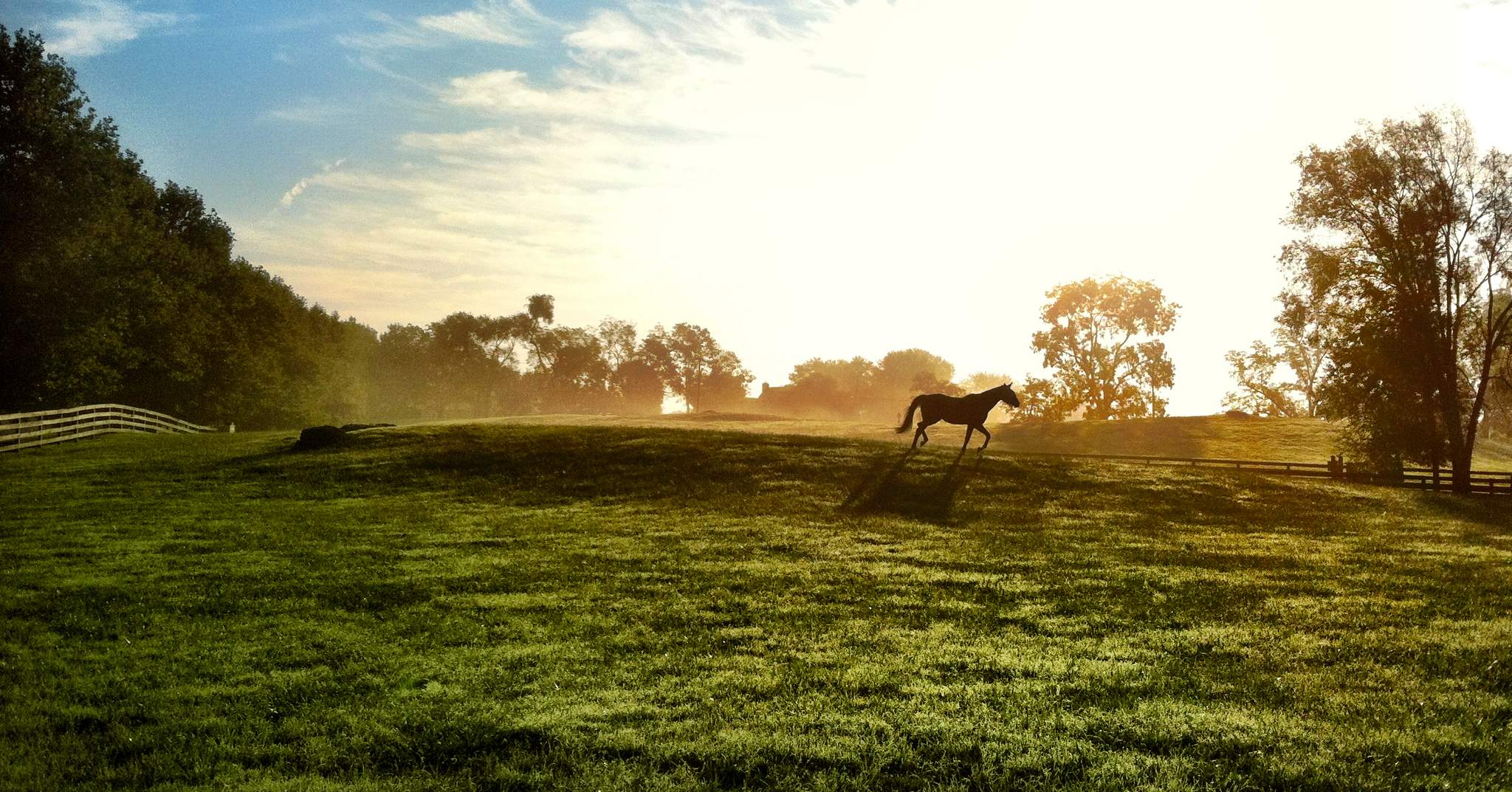 Salamander Resort & Spa in Middleburg, Virginia