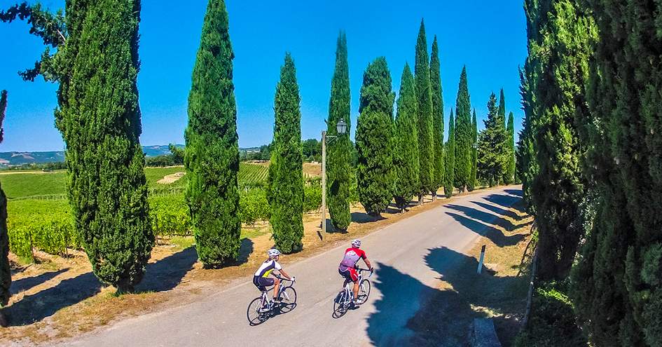 duvine bike tours