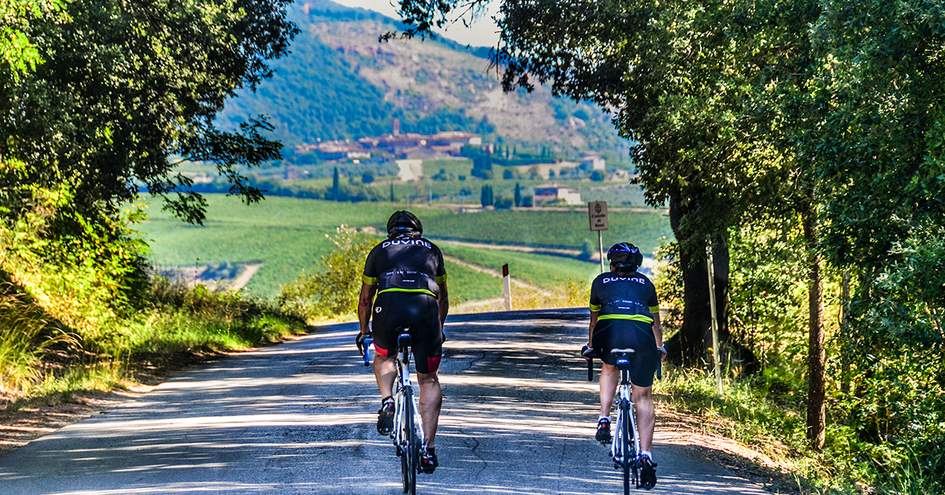 duvine bike tours