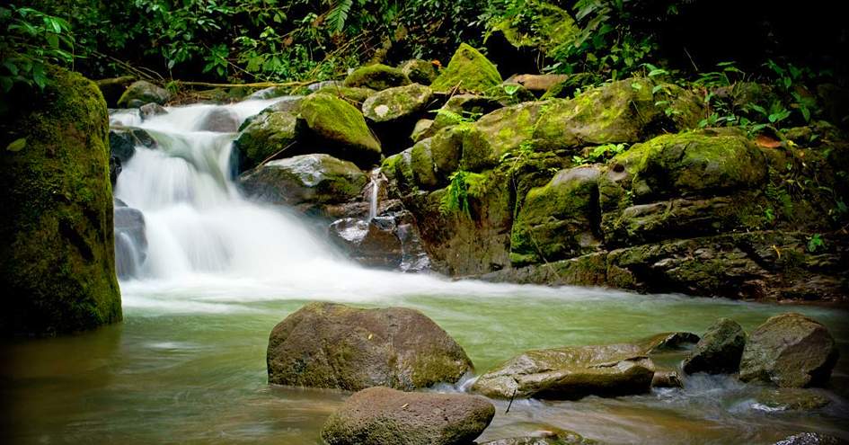 Oxygen Jungle Villas in Uvita, Costa Rica