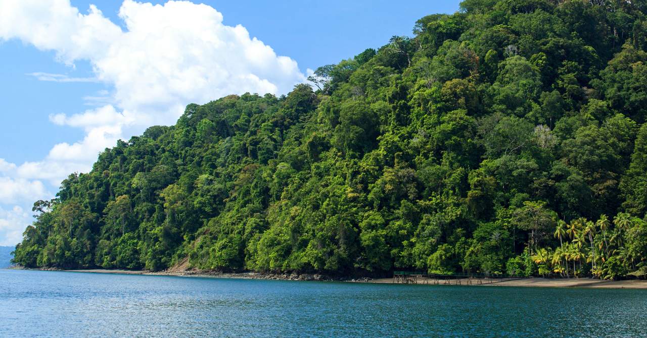 Playa Cativo in Puntarenas, Costa Rica