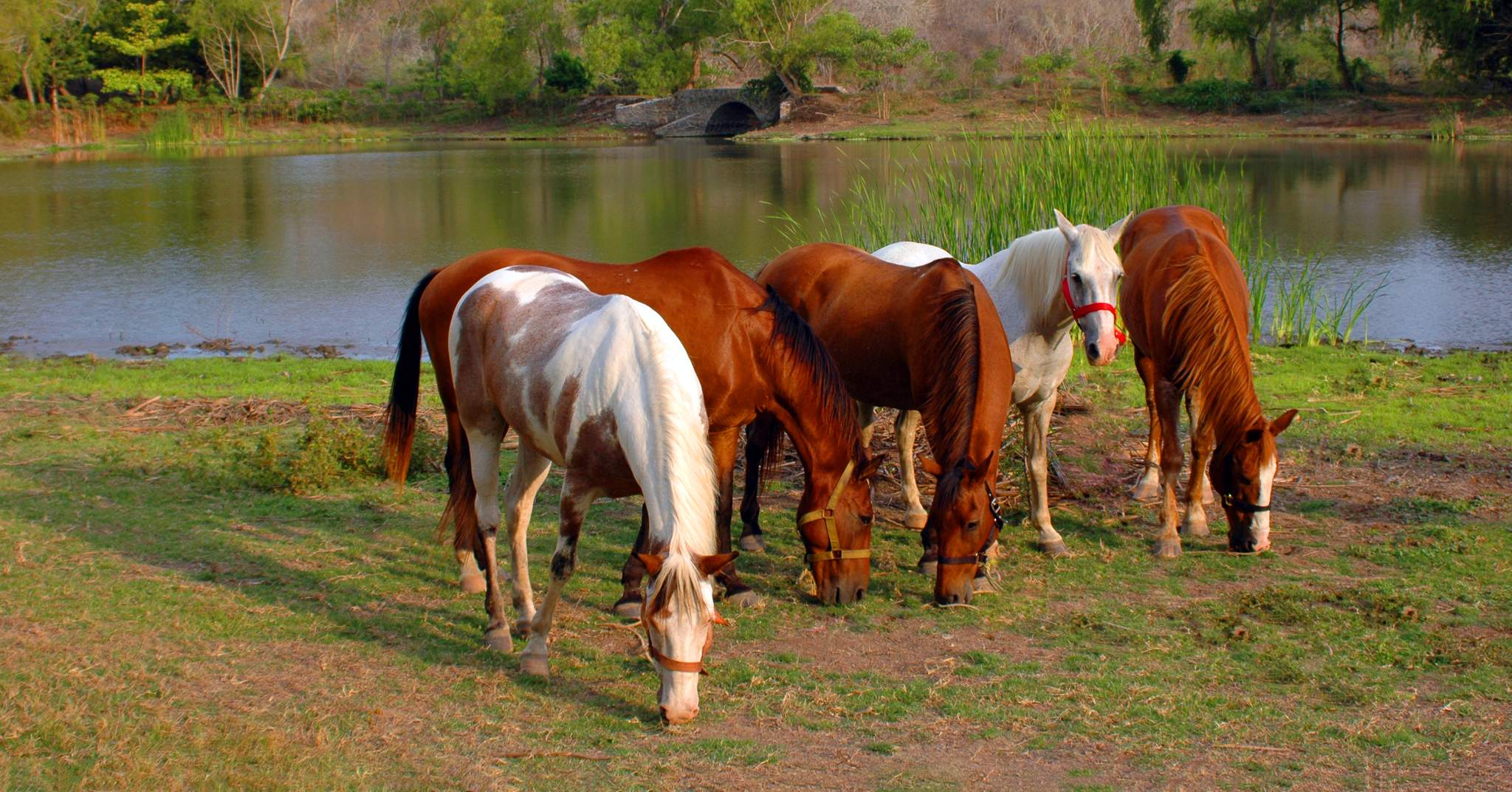 Las Alamandas in Costalegre, Jalisco, Mexico