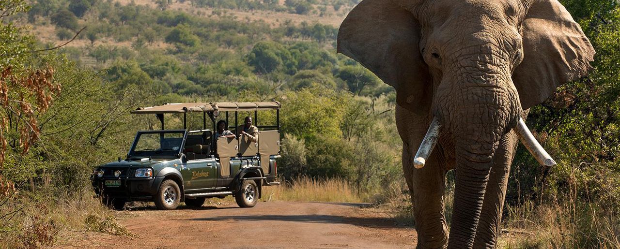 Bakubung Bush Lodge in Sun City, South Africa