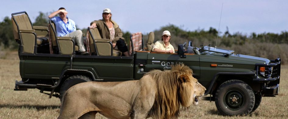 Gorah Elephant Camp in Port Elizabeth, South Africa