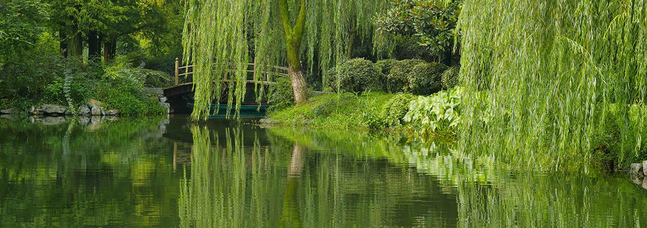 Amanfayun in Hangzhou, China