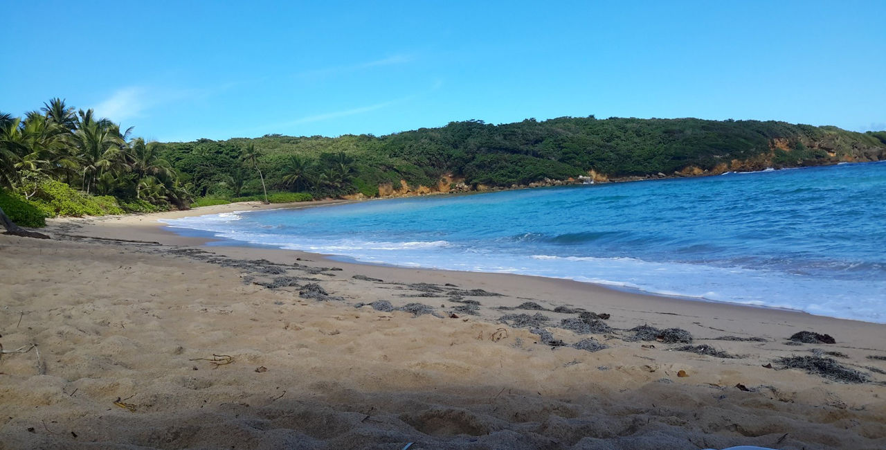 Hyatt Hacienda Del Mar in Dorado, Puerto Rico