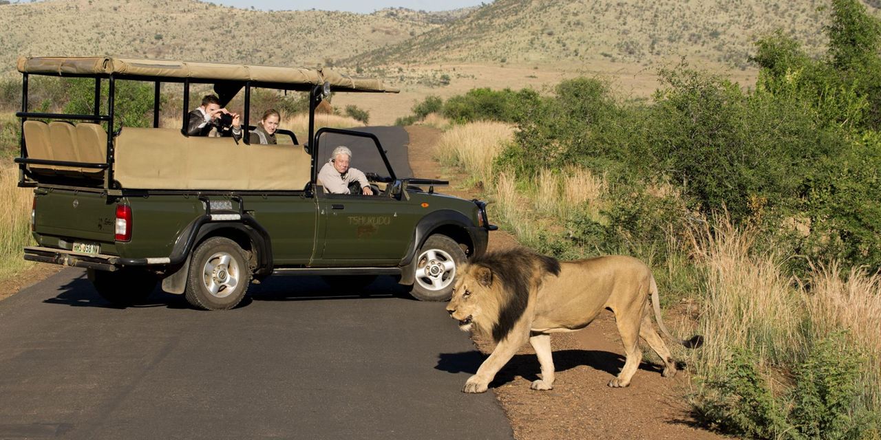 Tshukudu Bush Lodge in Pilanesberg National Park, South Africa