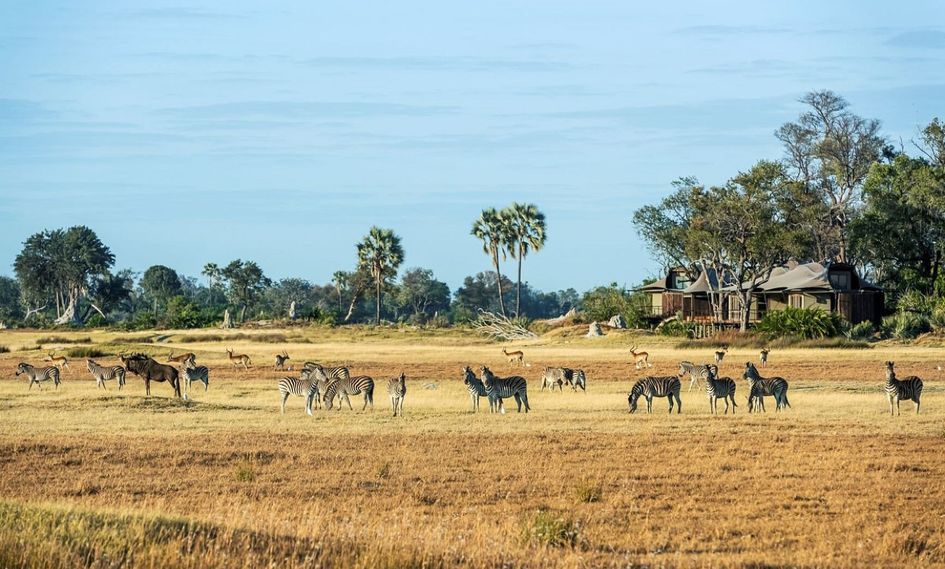 xigera safari lodge vacancies