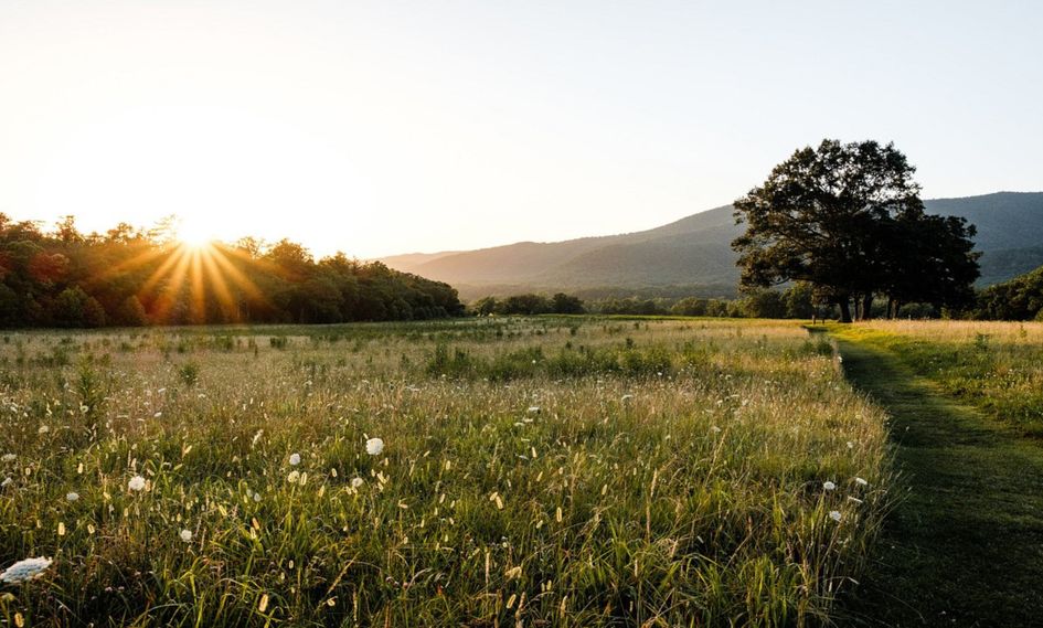 Wildflower Farms, Auberge Resorts in Gardiner, New York